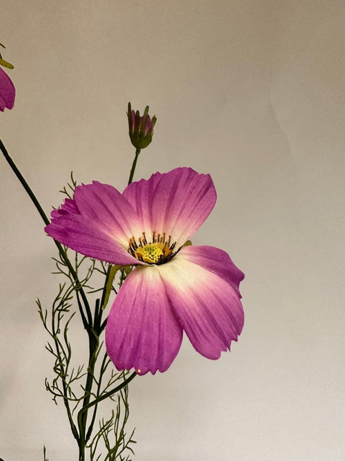 My Flowers.shop Roze cosmea zijden bloem | Lengte  90 centimeter | Per stuk - vtwonen shop