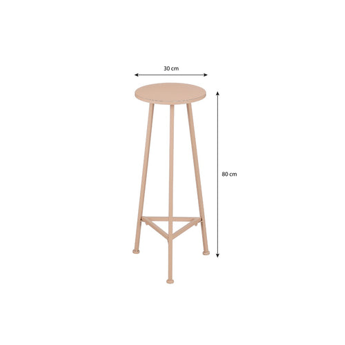 Mica Decorations Adine Plantentafel - H80 x Ø30 cm - Metaal - Lichtroze