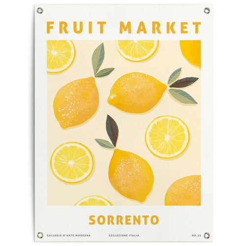 Reinders Lemons tuinposter -  geel - tuin - 80x60cm