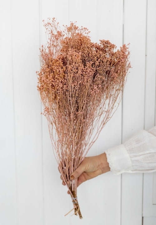 My Flowers.shop Zacht roze gedroogde Brem | Zacht roze Broom Bloom droogbloemen | Lengte ± 60 cm | Per bos - vtwonen shop