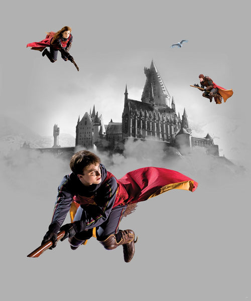 Sanders & Sanders fotobehang Harry Potter Zweinstein grijs en rood - 270 x 225 cm - 601208