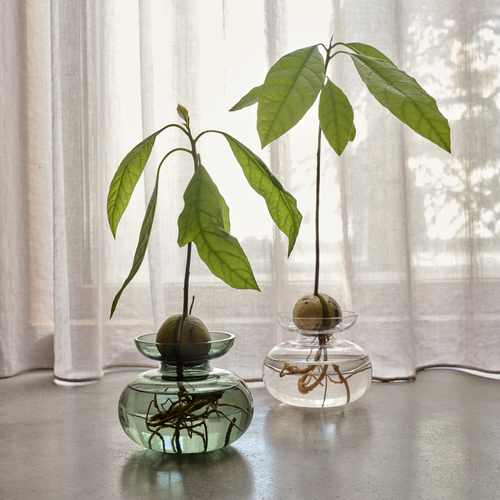 Zone Denmark Inu Kleine Ronde Glazen Vaas - 11 x 9 cm - vtwonen shop