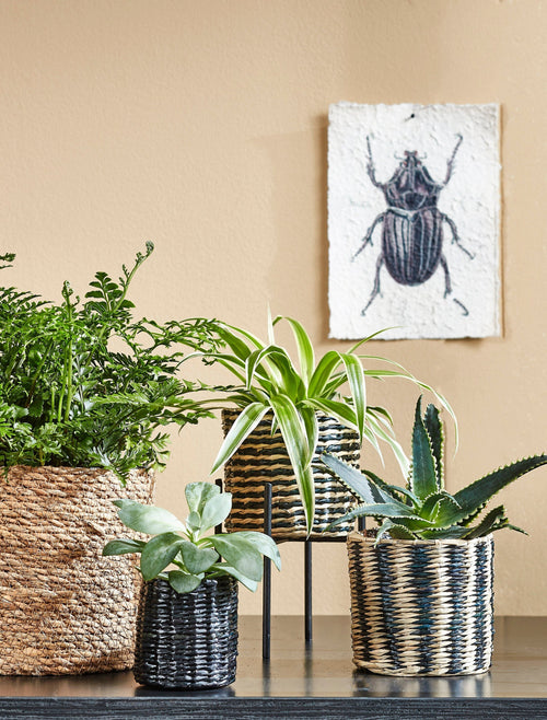 Mica Decorations Atlantic Plantenmand - Set van 3 - H16 x Ø16 cm - Zeegras - Lichtbruin