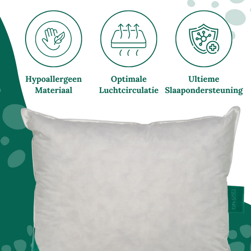 Ten Cate hoofdkussen - 100% eendenveren - 60x70