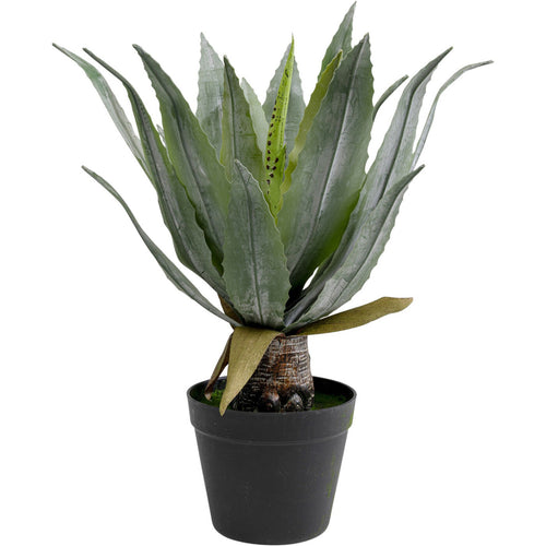 Kare Design Kunstplanten - agave - 40cm - vtwonen shop