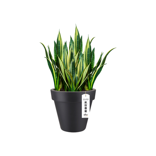 elho pure round 40 antra | Bloempot | Tijdloos