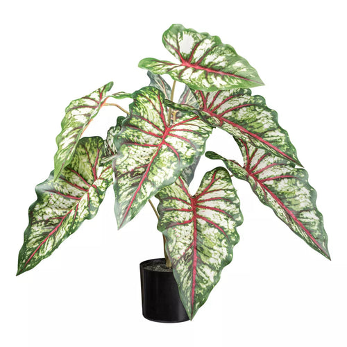 Flourify kunstplant - Syngonium - 66 cm