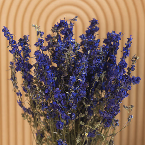 My Flowers.shop Blauw gedroogde Ridderspoor | Blauwe Delphinium droogbloemen | Lengte ± 70 centimeter | Per bos - vtwonen shop