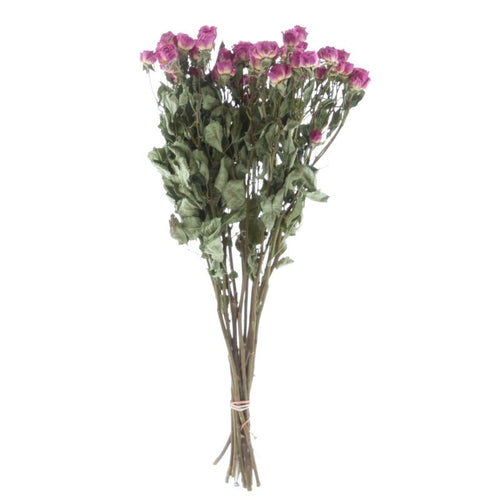 My Flowers.shop Tien gedroogde fuchsia trosrozen | Lengte 50 centimeter | Per bos te bestellen - vtwonen shop