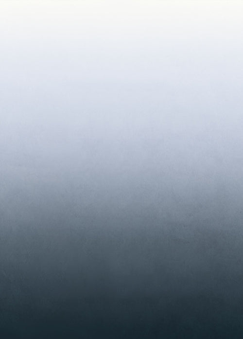 ESTAhome fotobehang kamerhoog dip dye kleurverloop grijsblauw - 200 x 279 cm - 159450 - vtwonen shop