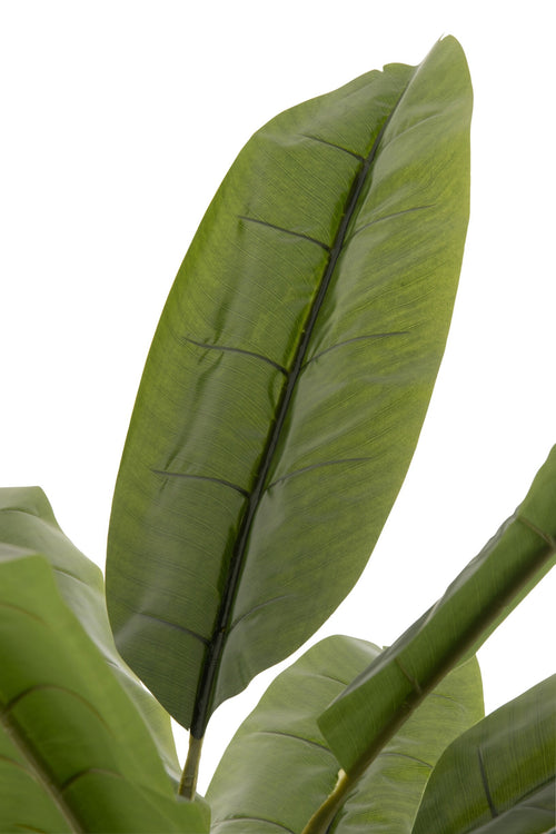 J-Line bananenboom - kunststof - groen/bruin