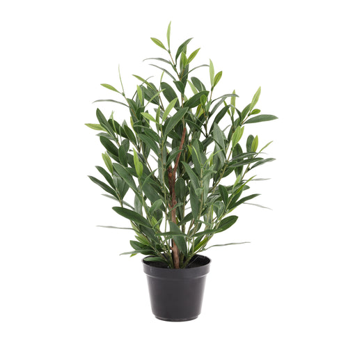 Maxifleur Olijf kunstplant 50cm UV in kweekpot