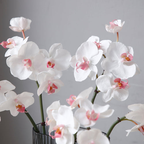 Sia Deco Orchidee Phalaenopsis Steel Kunstmatig - wit - H60 - vtwonen shop