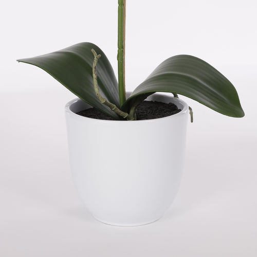 Mica Decorations Phalaenopsis Kunstplant in Bloempot Tusca - H60 x Ø16 cm - Paars - vtwonen shop