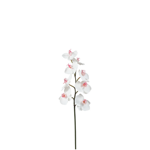 Sia Deco Orchidee Phalaenopsis Steel Kunstmatig - wit - H50 - vtwonen shop