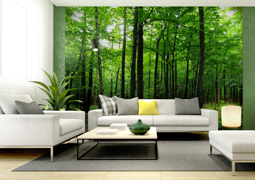 Sanders & Sanders fotobehang bosrijk landschap groen - 360 x 254 cm - 600401