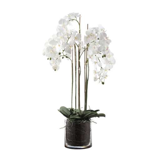 Sia Deco Orchidee Compositie Met Vaas - wit - transparant - H126 - vtwonen shop