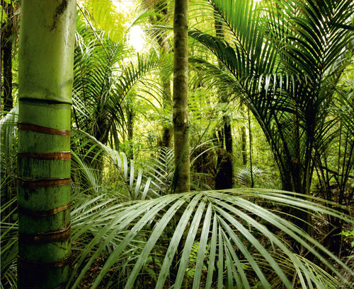 Sanders & Sanders fotobehang jungle-motief groen - 360 x 270 cm - 600477
