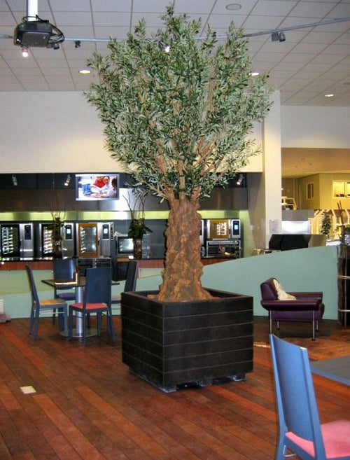 Maxifleur Olijf deluxe kunstboom 290cm