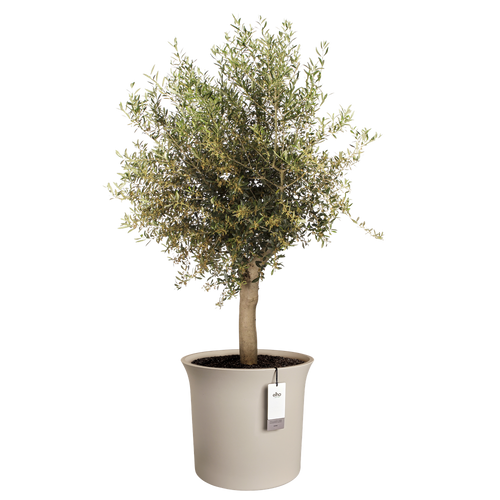 elho june tulip 58 balanced beige | Bloempot |Premium statementdesign