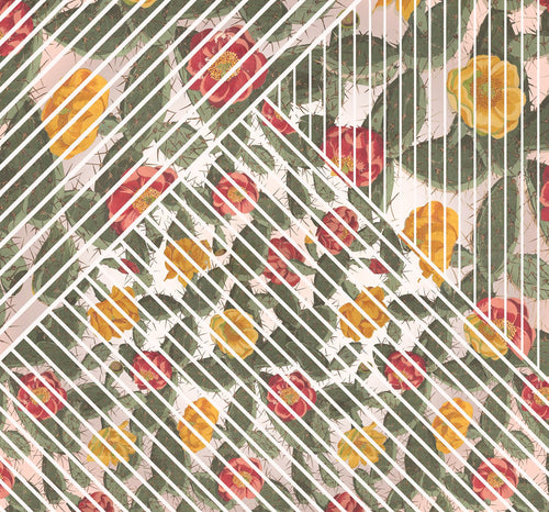 Sanders & Sanders fotobehang planten groen, rood en geel - 300 x 280 cm - 611848