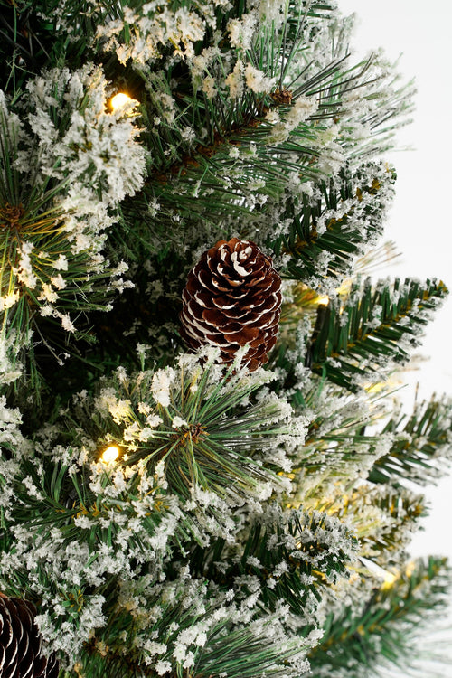 Black Box Trees Vandans kerstboom potted led groen frosted 40L TIPS 96 battery operated - h90xd48cm