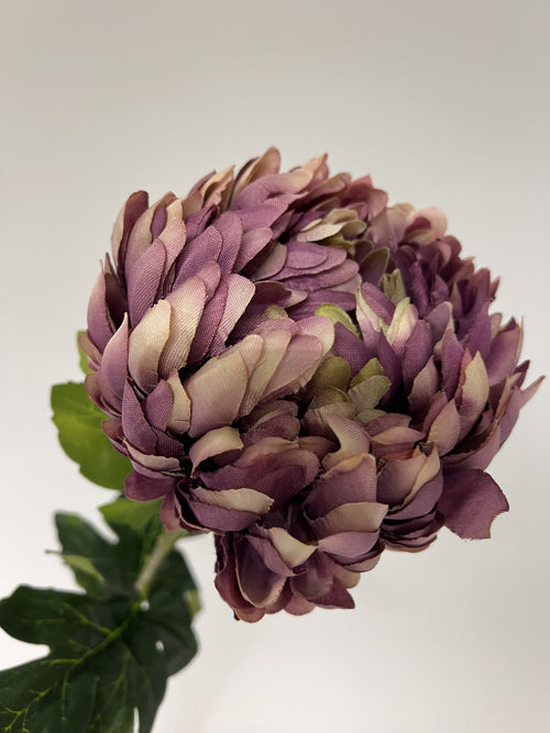 My Flowers.shop Lilakleurige chrysant zijden bloem | Lengte  76 centimeter | Per stuk - vtwonen shop