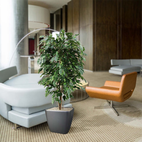 Maxifleur Ficus Exotica deluxe kunstplant 150cm - groen - FR - brandvertragend
