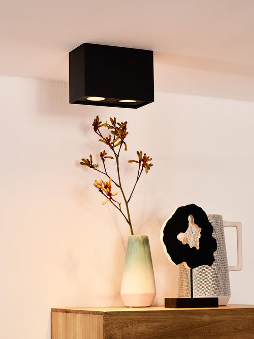 Lucide plafondspot TUBE - 2xGU10 (MR16) - Zwart