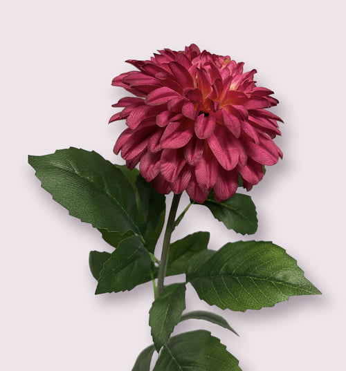 My Flowers.shop Roze dahlia zijden bloem | Lengte  70 centimeter | Per stuk - vtwonen shop