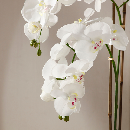 Sia Deco Orchidee Compositie Met Vaas - wit - transparant - H90 - vtwonen shop