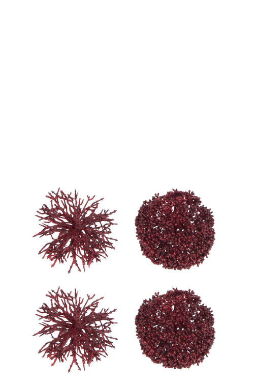 J-Line hanger Bal Rond/Koraal - kunststof - rood - doos van 4 - vtwonen shop