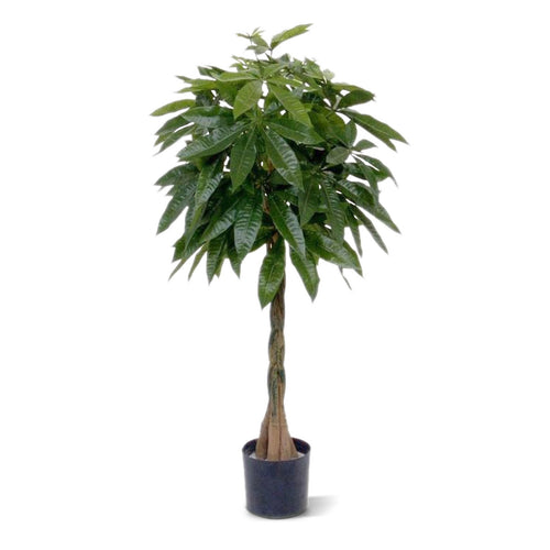 Maxifleur Pachira deluxe kunstplant 120cm