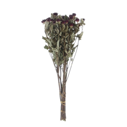 My Flowers.shop Tien gedroogde rode trosrozen | Lengte 50 centimeter | Per bos te bestellen - vtwonen shop