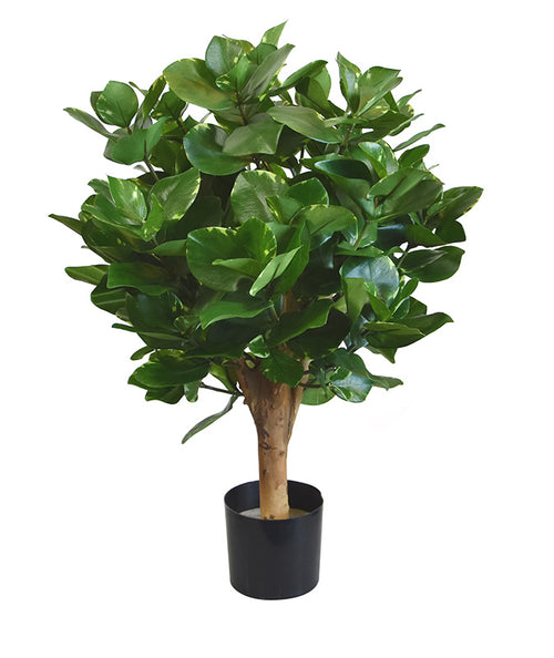 Maxifleur Clusia bol kunstplant 55cm