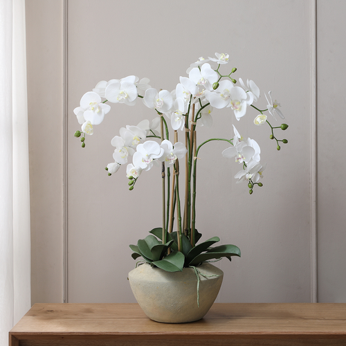 Sia Deco Orchidee Compositie Kunstmatig - wit - H86 - vtwonen shop