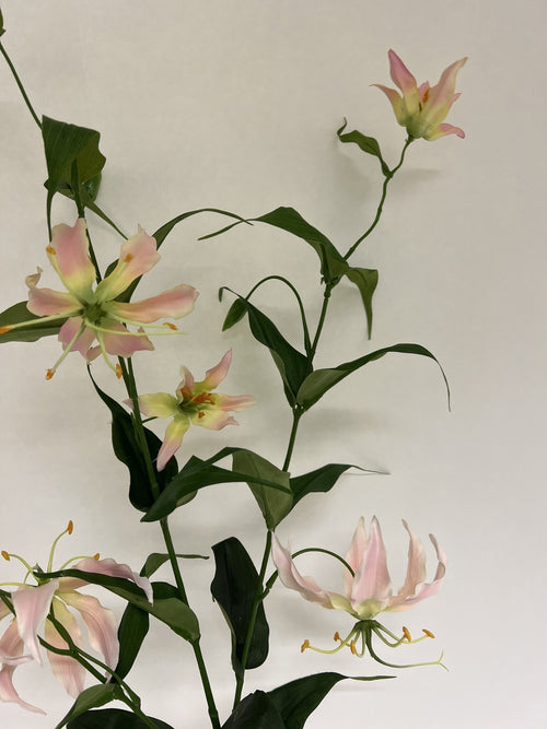 My Flowers.shop Roze gloriosa zijden bloem | Lengte 120 centimeter | Per stuk - vtwonen shop