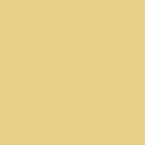 Graham & Brown Tutti Frutti - Testerpot - Matte Muurverf - 100ml