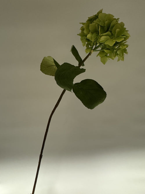 My Flowers.shop Groene zijden Hortensia | Zijden bloemen | Lengte 80 centimeter | Per stuk - vtwonen shop