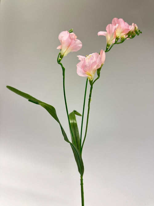 My Flowers.shop Roze freesia zijden bloem | Lengte 60 centimeter | Per stuk - vtwonen shop