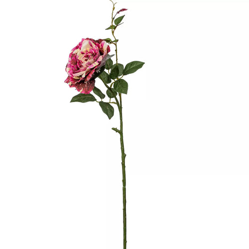 Flourify kunstbloem - Roos - 72 cm - bundel van 5 - vtwonen shop