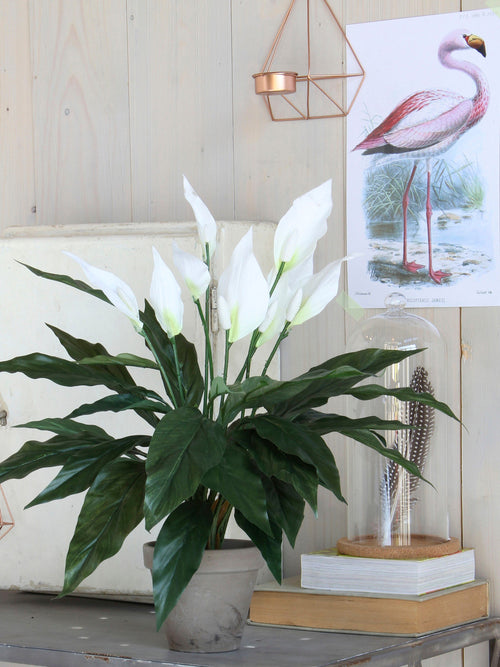 Mica Decorations Spathiphyllum Kunstplant in Bloempot Stan - H50 x Ø40 cm - Wit