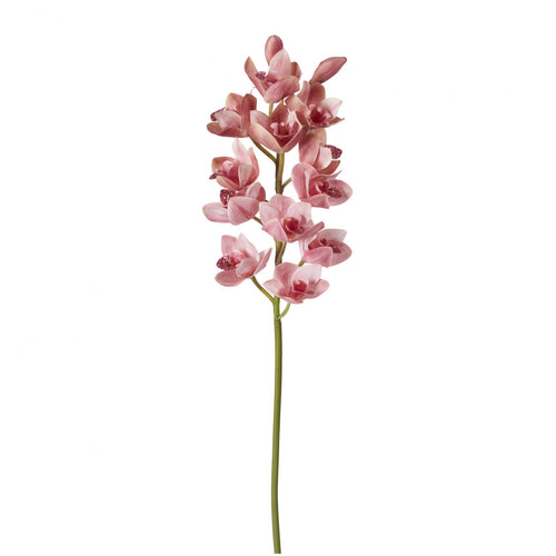 Sia Deco Kunstmatige Cymbidium Orchidee Stengel - Roze - H100 - vtwonen shop