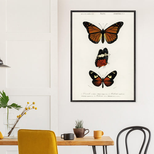 Artfulprints Poster met Lijst Charles Dessalines d'Orbigny - Butterfly   - A4 21x29.7 cm - Bruin