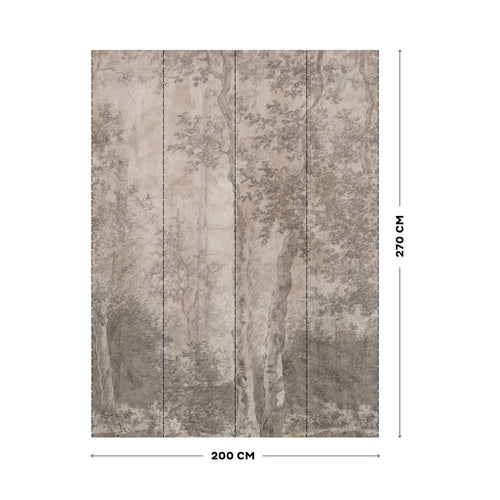 LOOKS by Wolfgang Joop Fotobehang - Birkenb�ume - 270x200cm - vtwonen shop