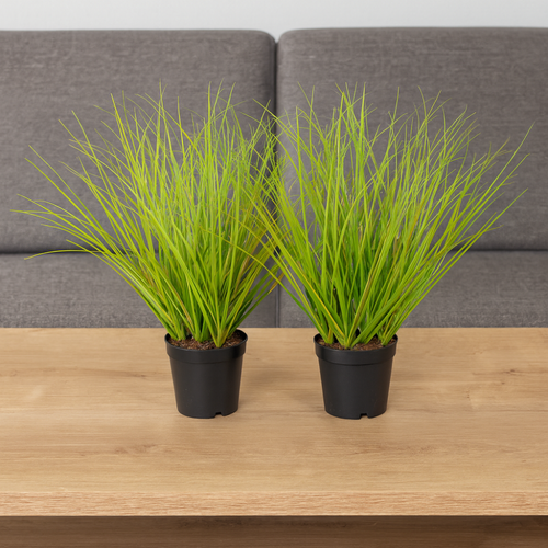 Flourify kunstplant - Siergras - 32 cm - bundel van 2