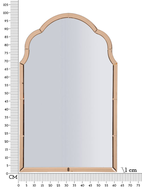 Mauro Ferretti wandspiegel - 62x1x100 cm - roze