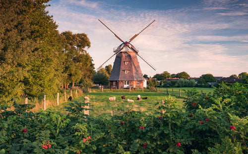 Sanders & Sanders fotobehang landschap met windmolen groen en blauw - 450 x 280 cm - 612668 - vtwonen shop