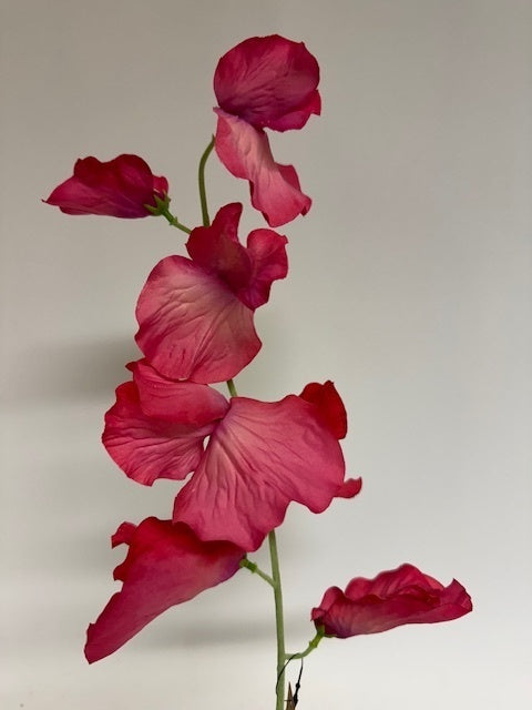 My Flowers.shop Roze lathyrus zijden bloem | Lengte 50 centimeter | Per stuk - vtwonen shop