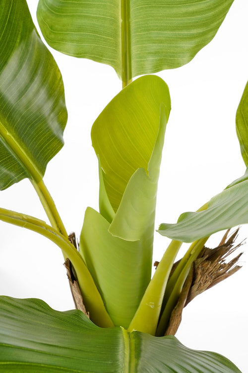 Mica Decorations Kunst Bananenplant - H120 x Ø70 cm - Groen